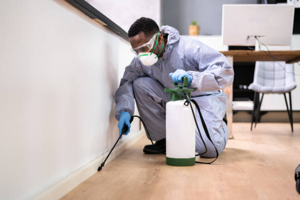 Best Indoor Pest Control  in Pembroke Park, FL